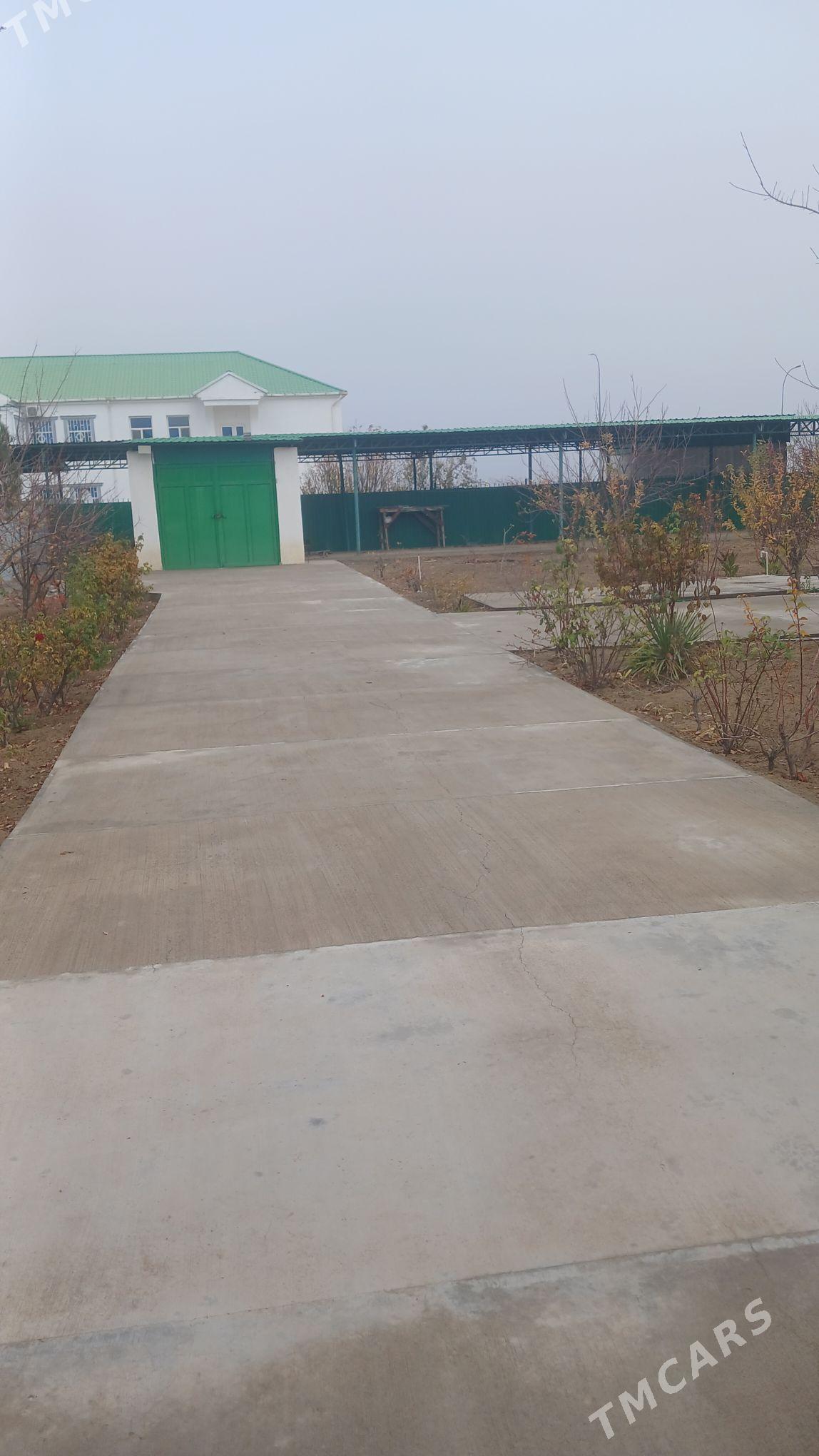 Satlym Taze zaman 1nji - Täze zaman - img 1