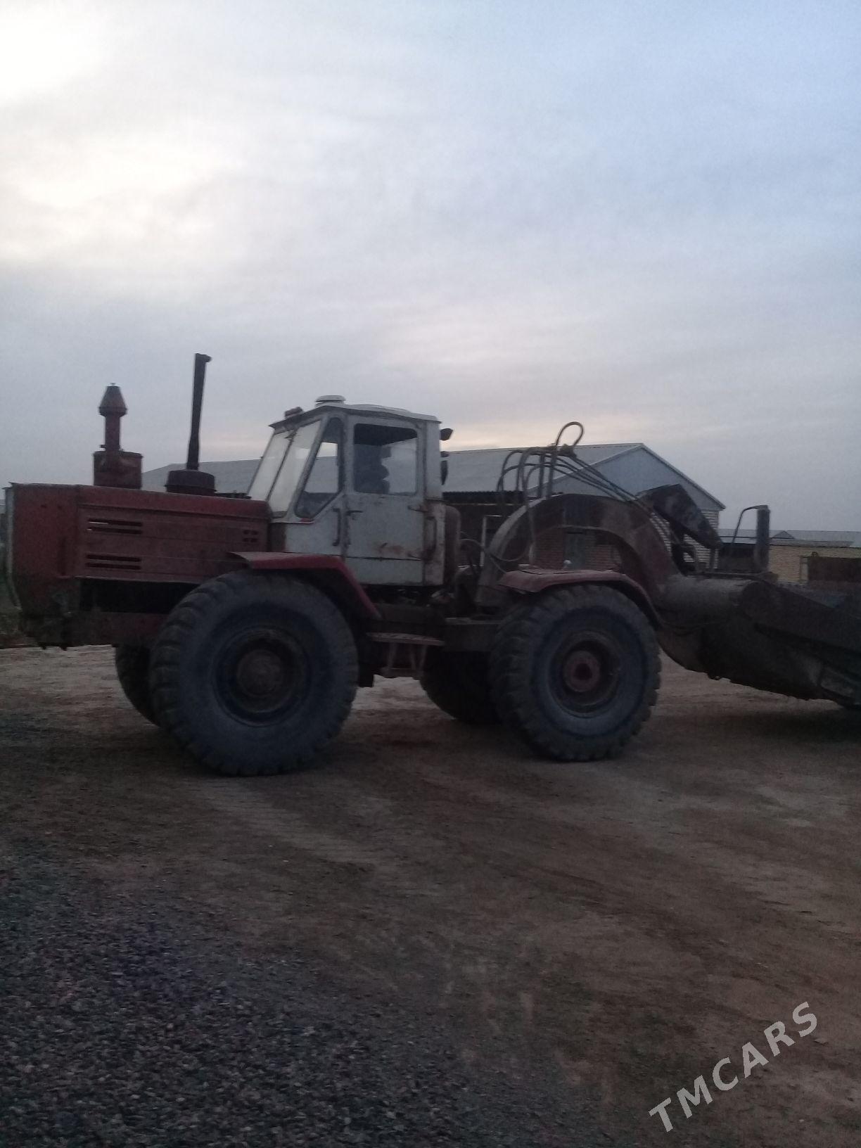 Belarus 320 1993 - 100 000 TMT - Sakarçäge - img 1