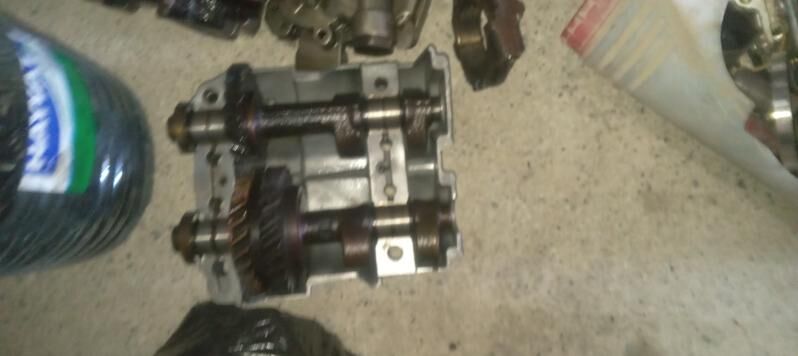 Toyota 2 000 TMT - Mary - img 1