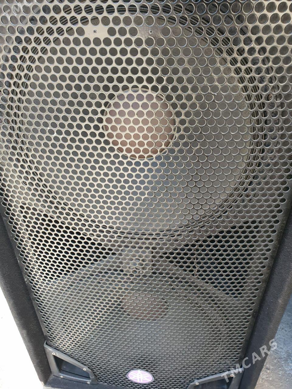 PEAVEY SP4 - Türkmenbaşy - img 1