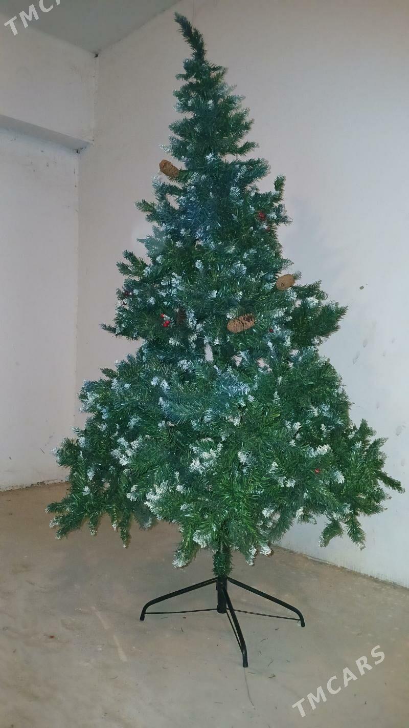Arça ýolka ёлка - Ашхабад - img 1