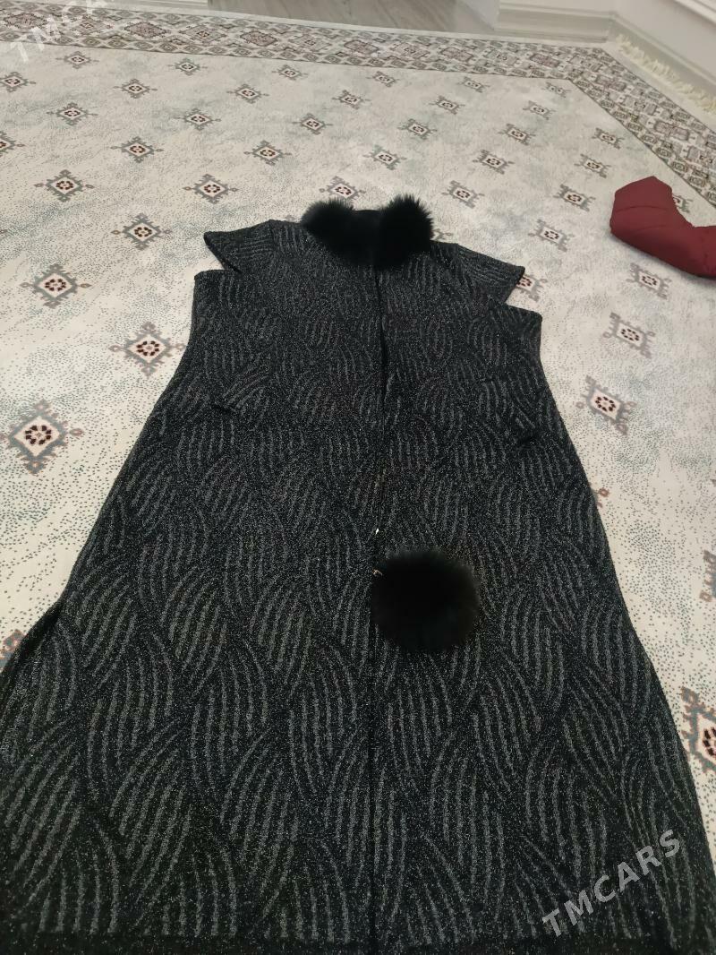 zempir - Bagyr - img 1