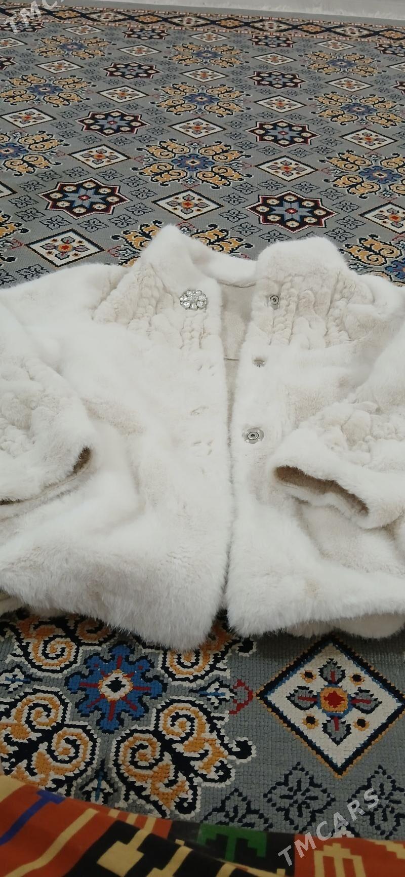 suba - Balkanabat - img 1