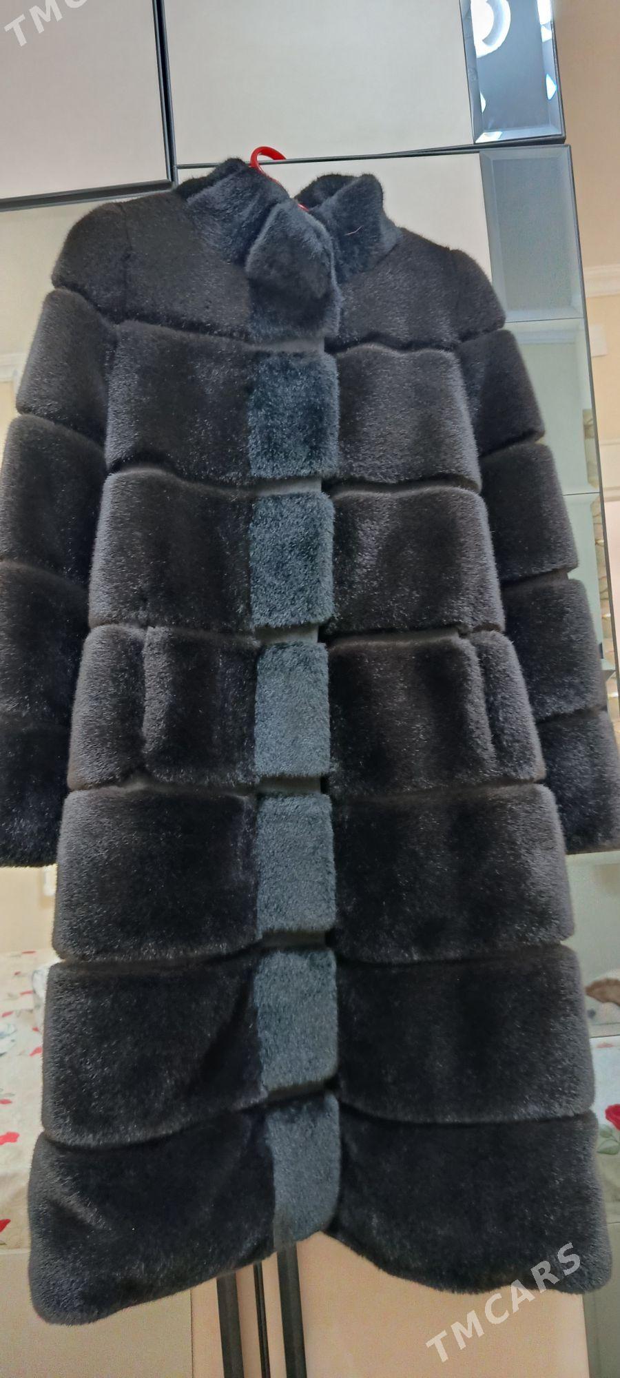 şuba - Änew - img 1