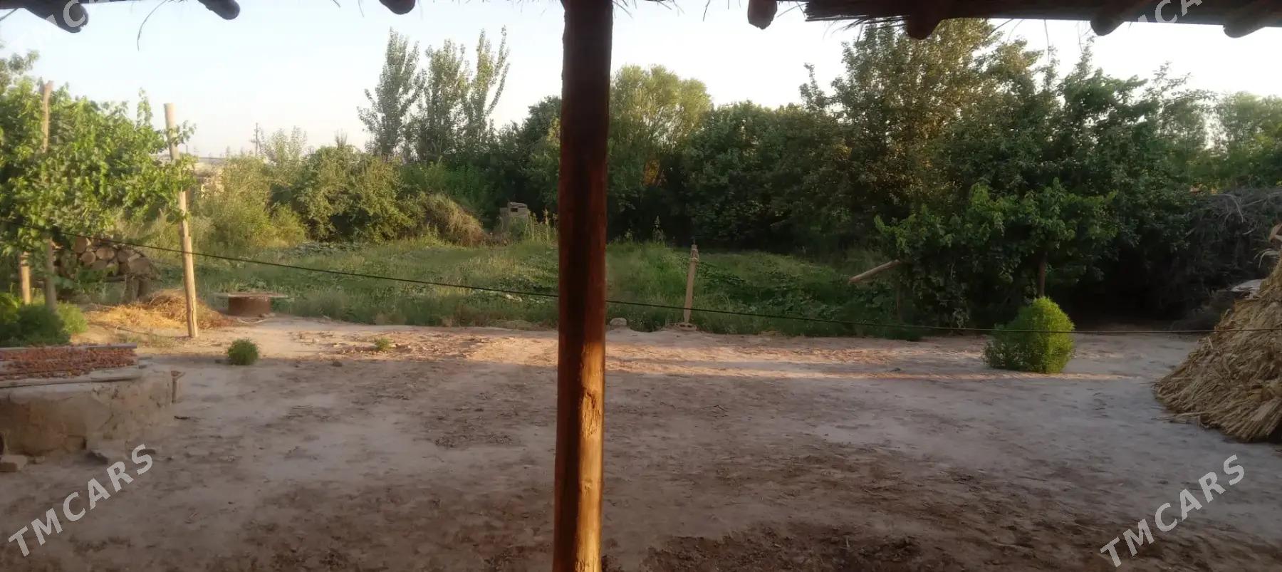 PLAN JAY - Halaç - img 1