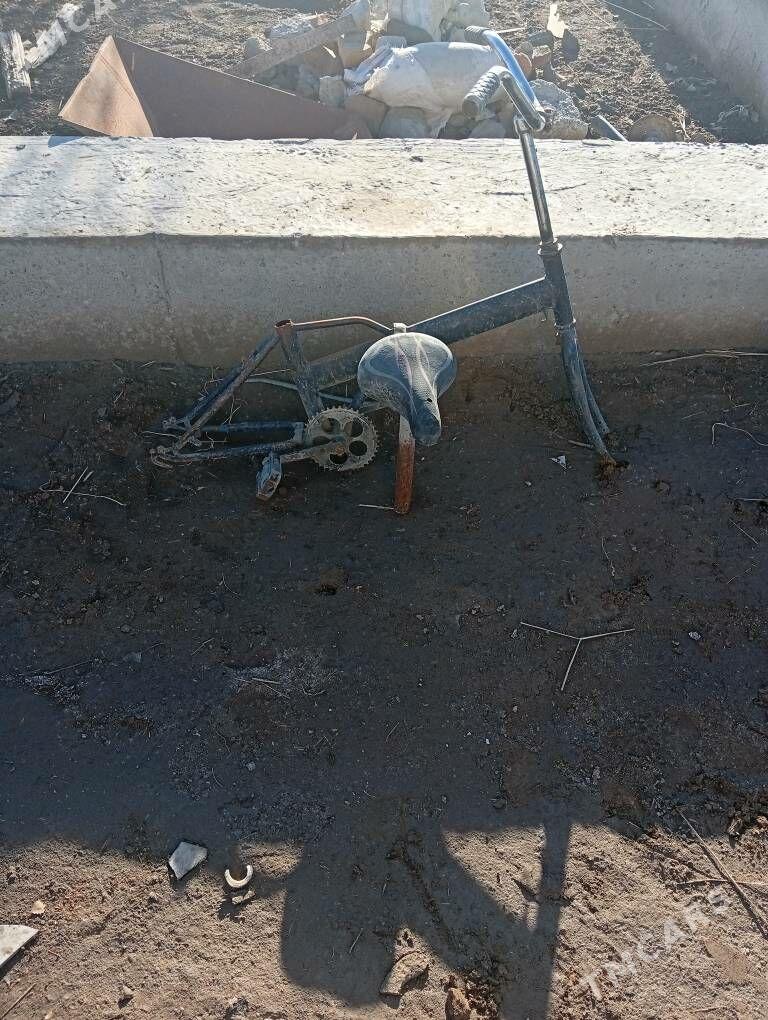 kama - Дашогуз - img 1