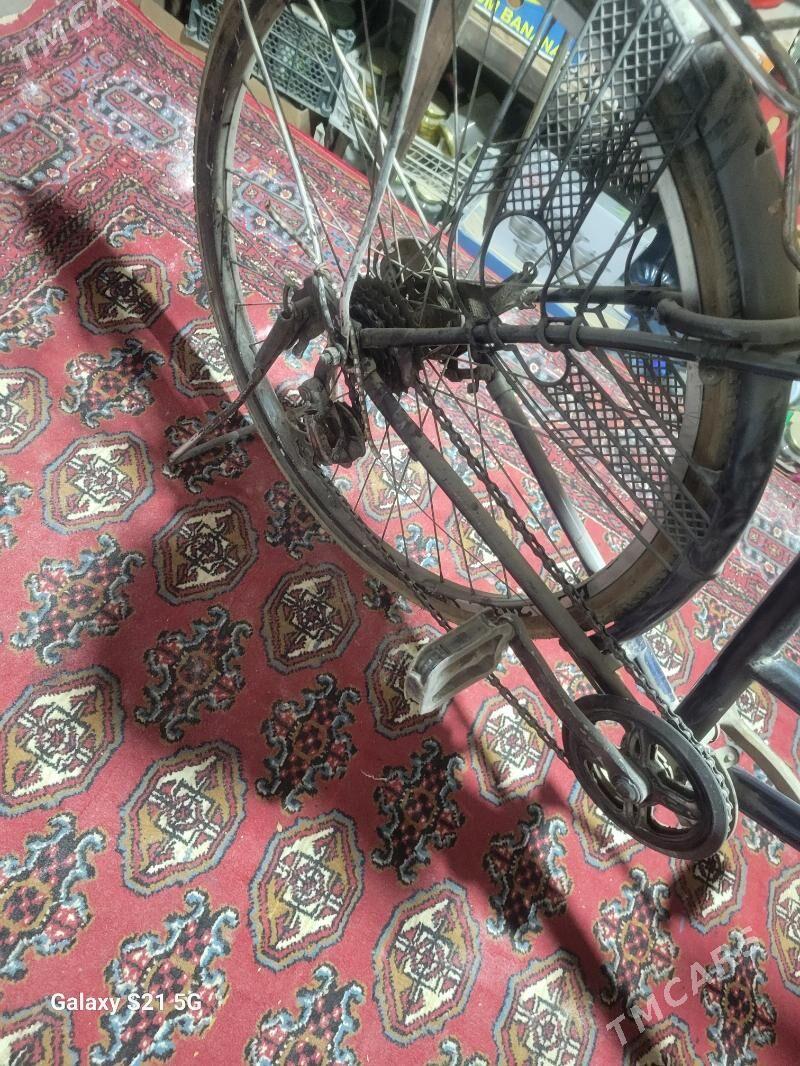 welik yaponiski 26 lyk - Türkmenabat - img 1