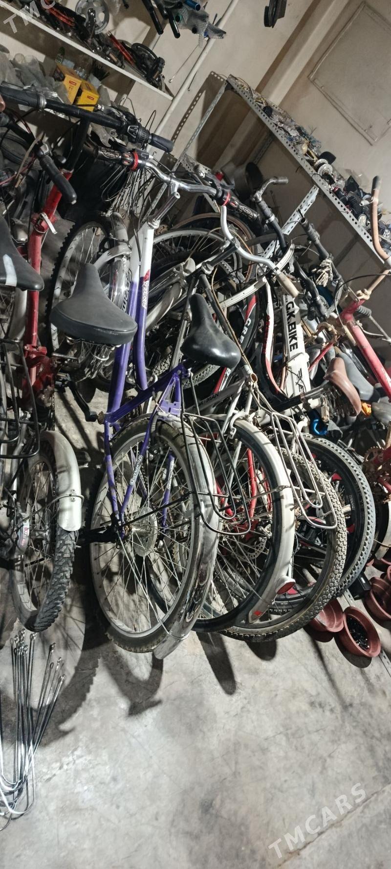 welsepit - Сакарчага - img 1