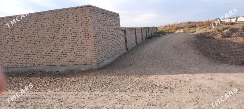 satlyk jay - Boldumsaz - img 1