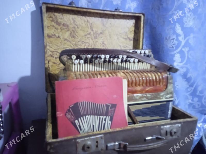 баян - Türkmenabat - img 1