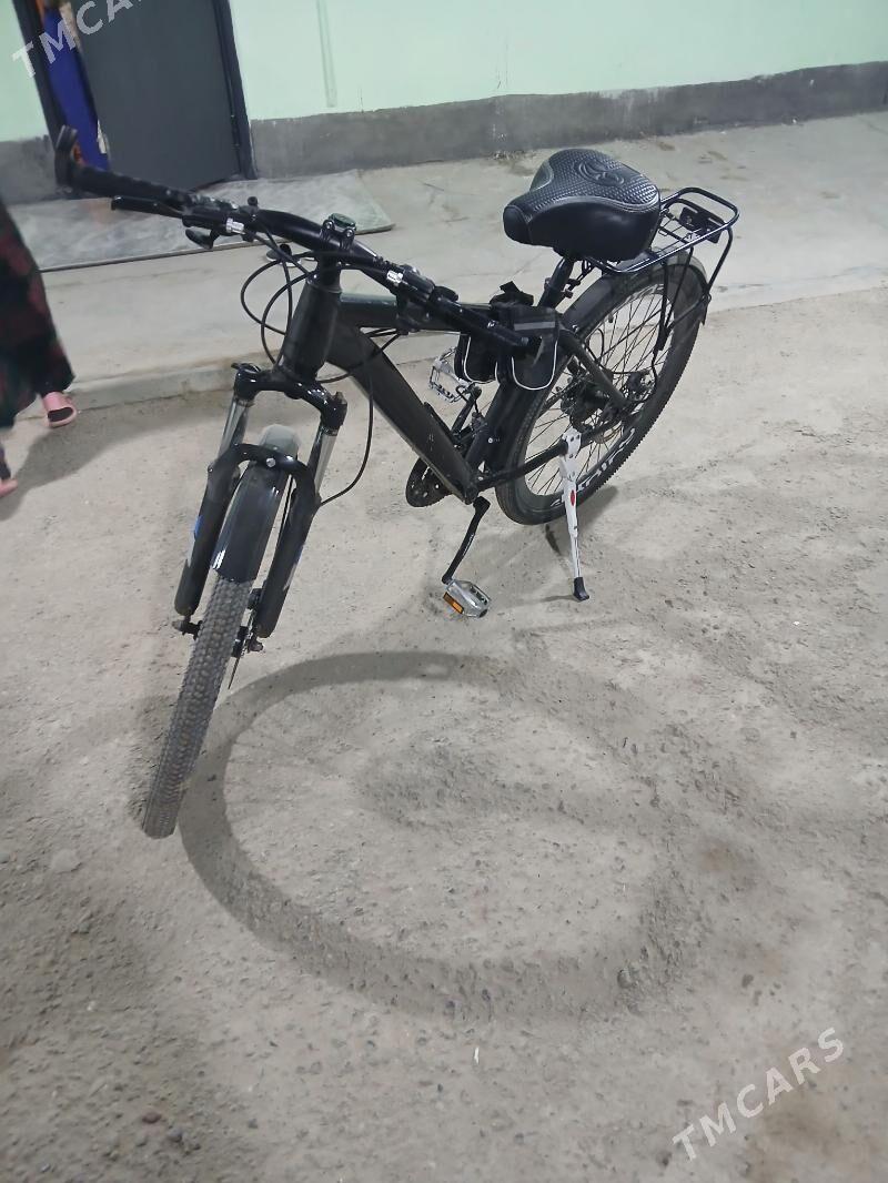 tiger taze ulanylmadyk - Änew - img 1