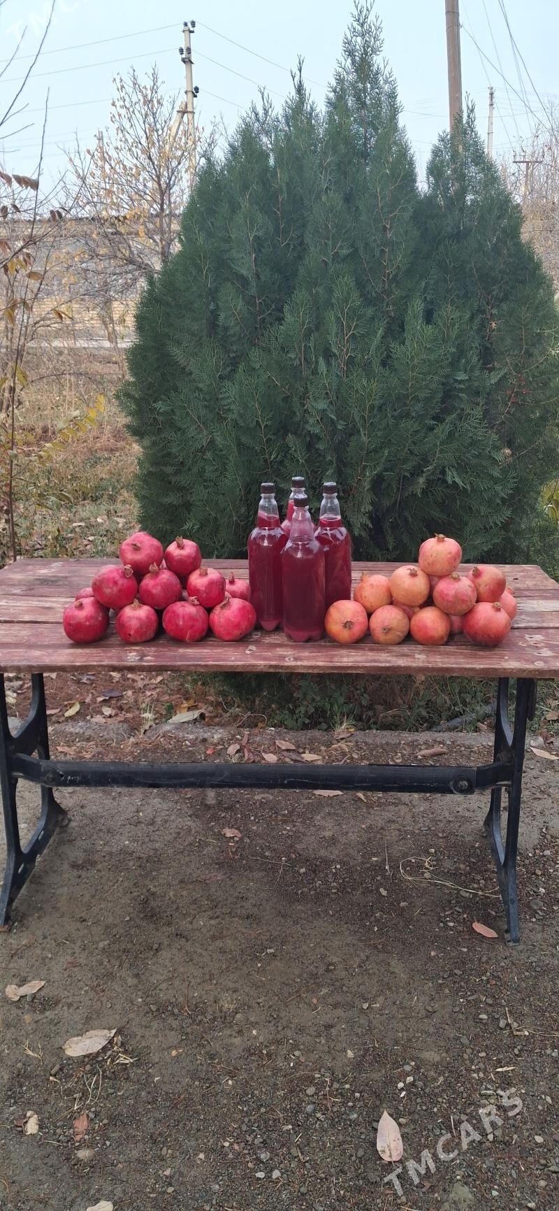 nar @ nar sok - Махтумкули - img 1