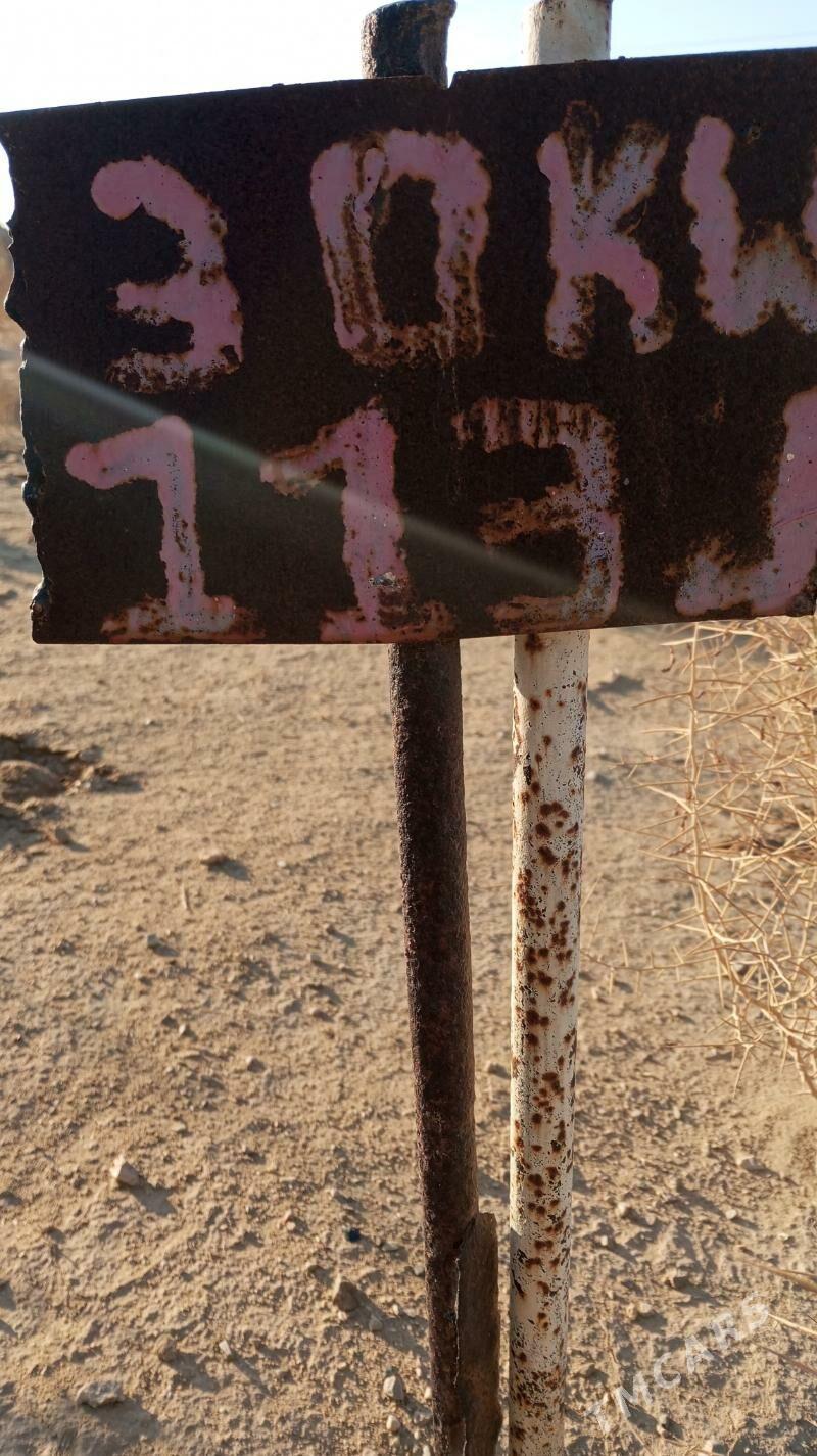 Tereyer - Jebel - img 1