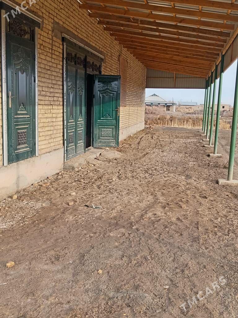 jaý - Köneürgenç - img 1