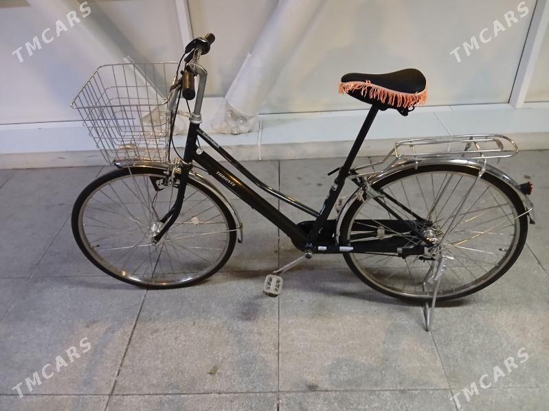 Ýapon tigir - Aşgabat - img 1