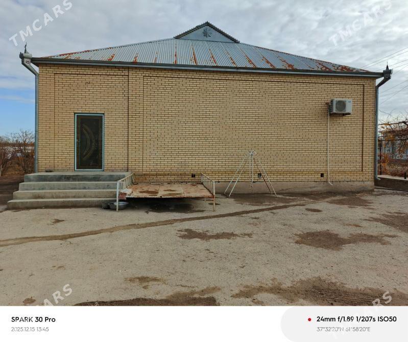 Satlyk jay - Мургап - img 1