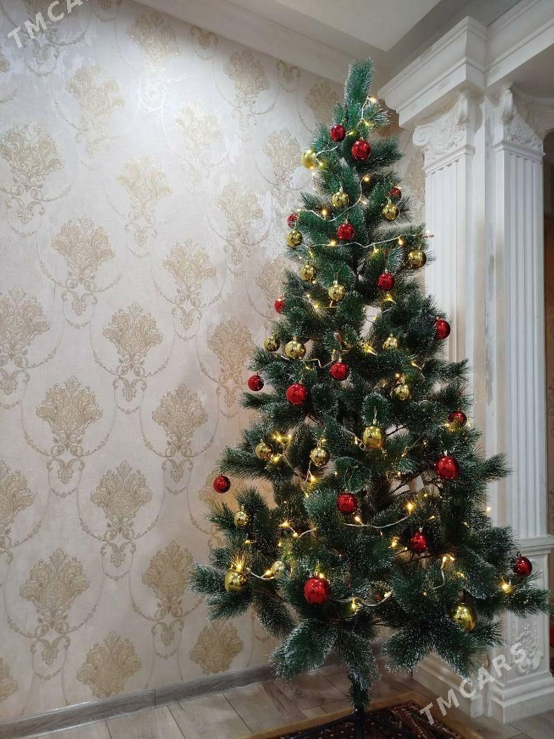 Ёлка Yolka - Туркменабат - img 1