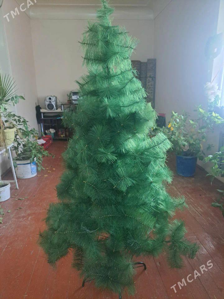 Ёлка(arça) - Дашогуз - img 1