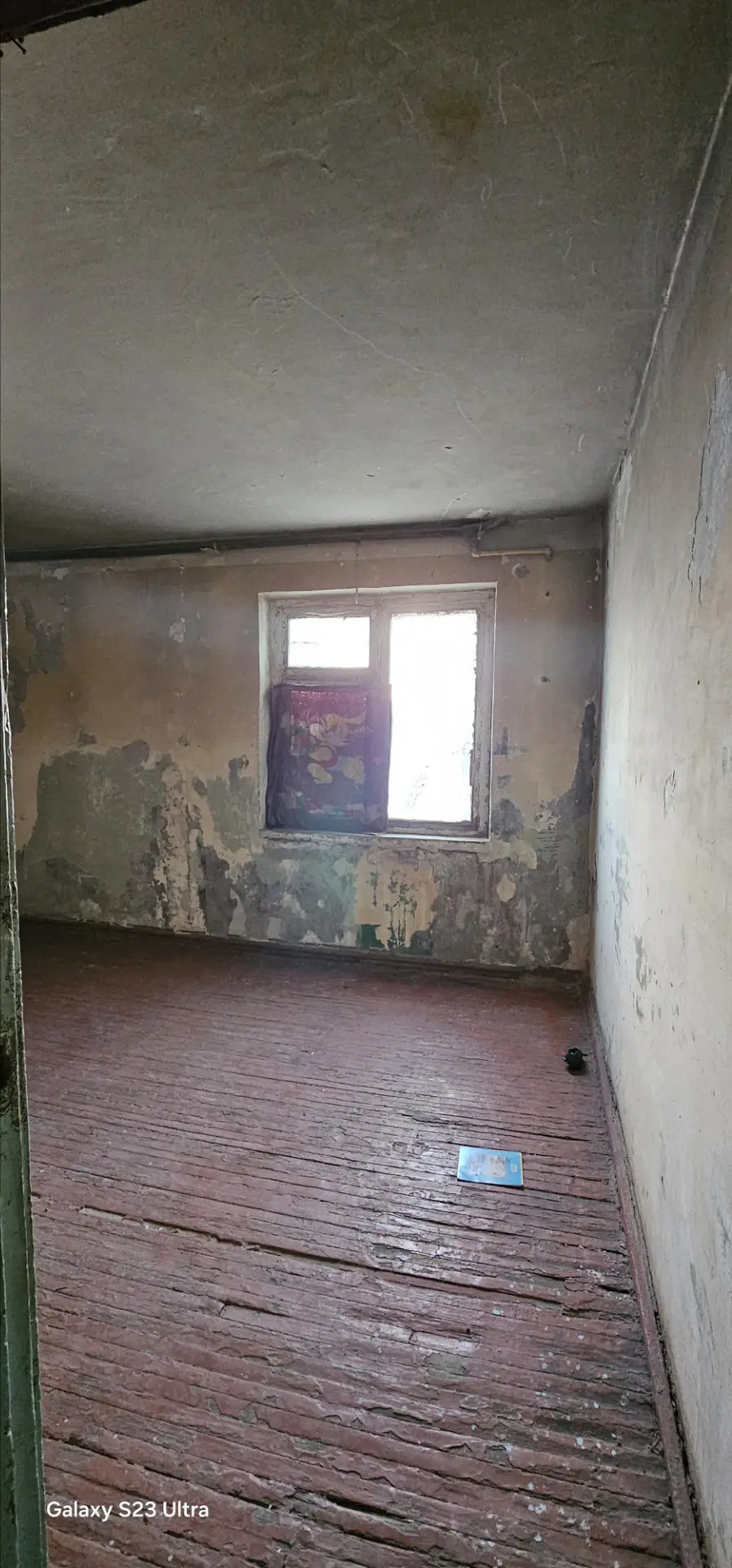 SATLYK JAY - Mary - img 1