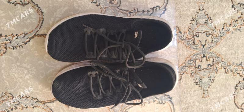 jako krasowka - Çoganly - img 1