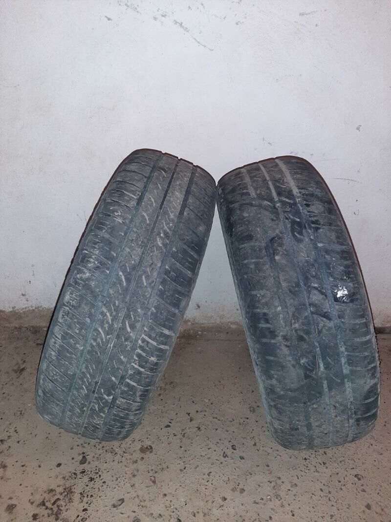 пакришка 270 TMT - Губадаг - img 1