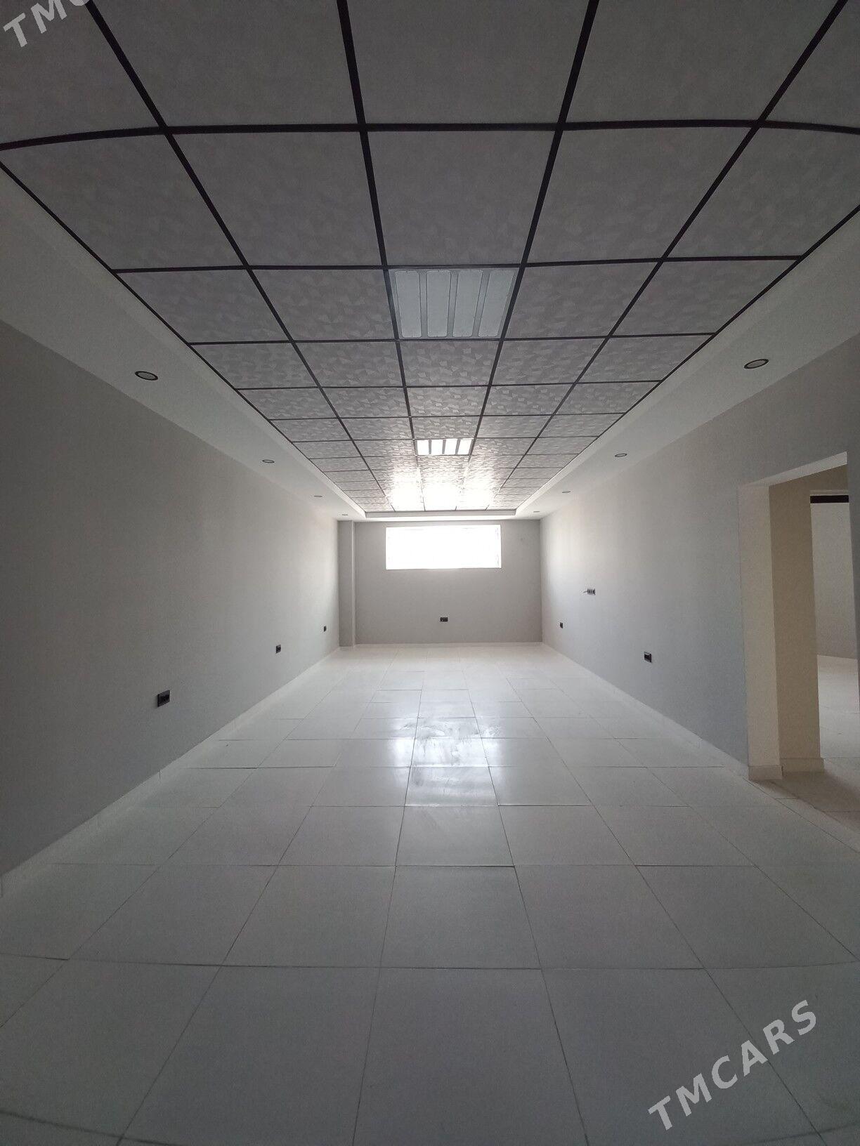 SATLYK GURTLI - Gurtly - img 1