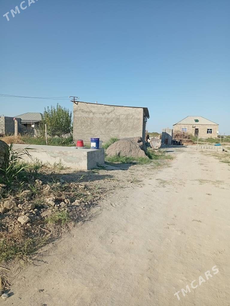 Satlyk Jay Mellek - Ak bugdaý etraby - img 1