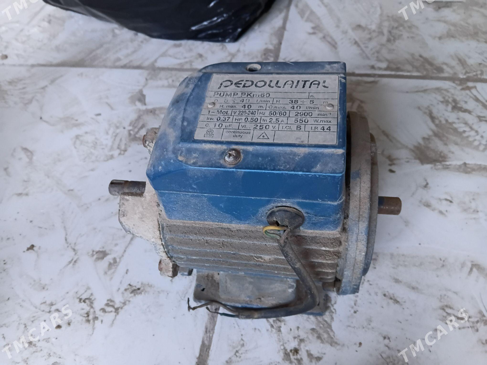 nasos PEDOLLAITAL - Mary - img 1