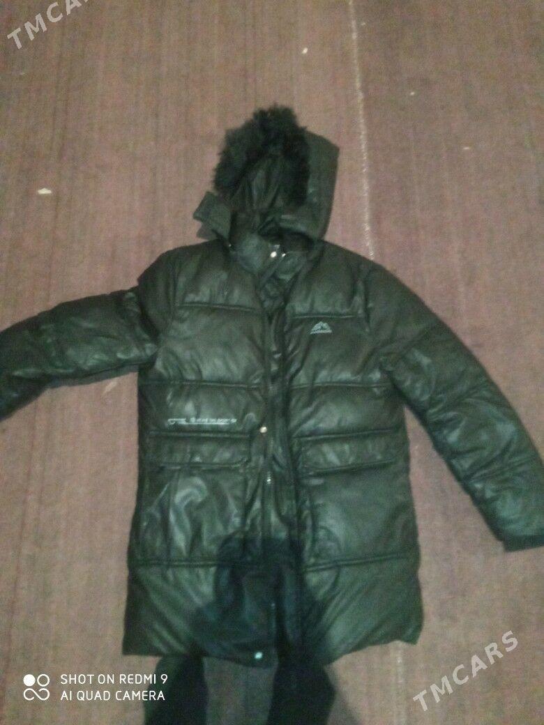 kurtka - Daşoguz - img 1