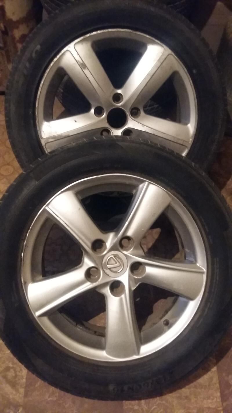 Диска балон 500 TMT - Türkmenabat - img 1