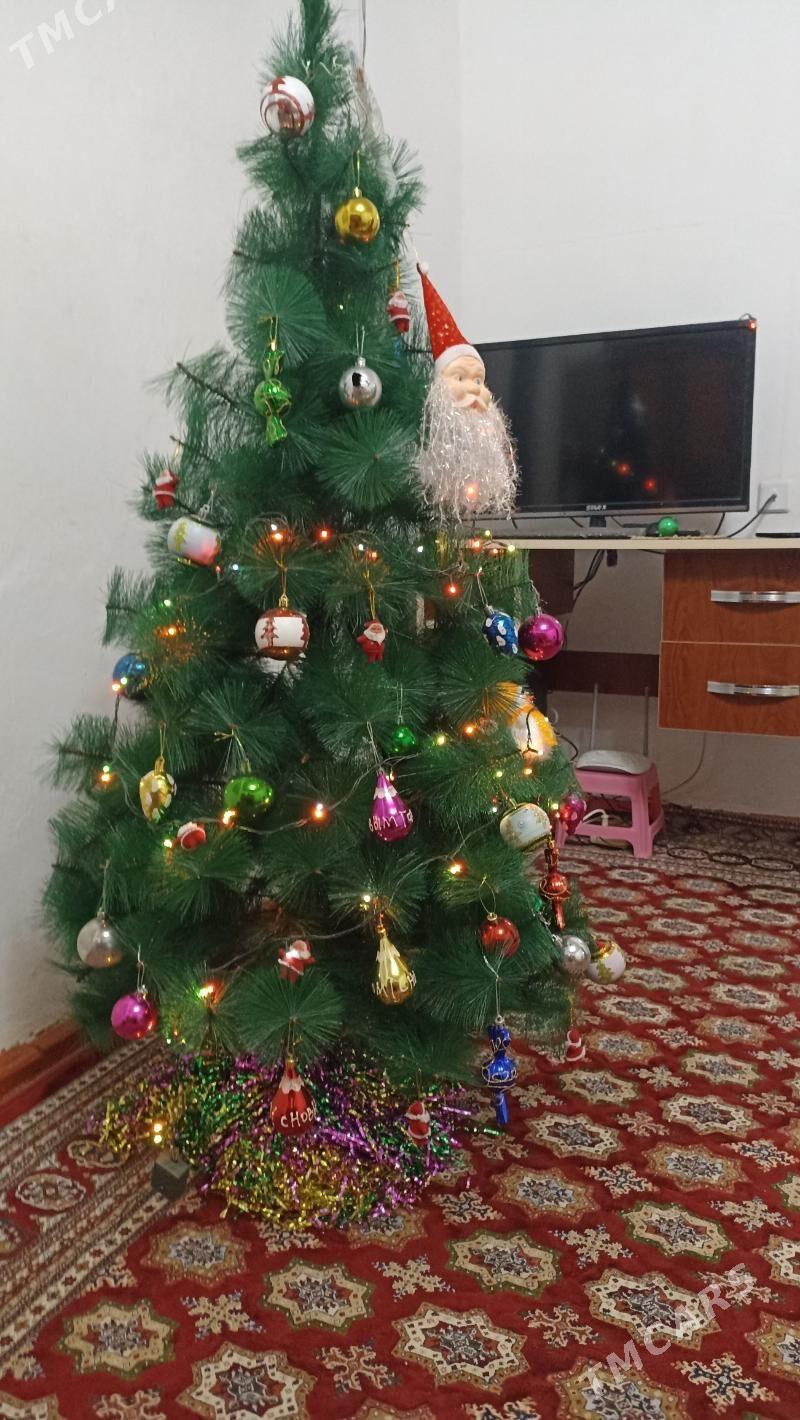 Elka,Елка,Арча,Arça - Гумдаг - img 1