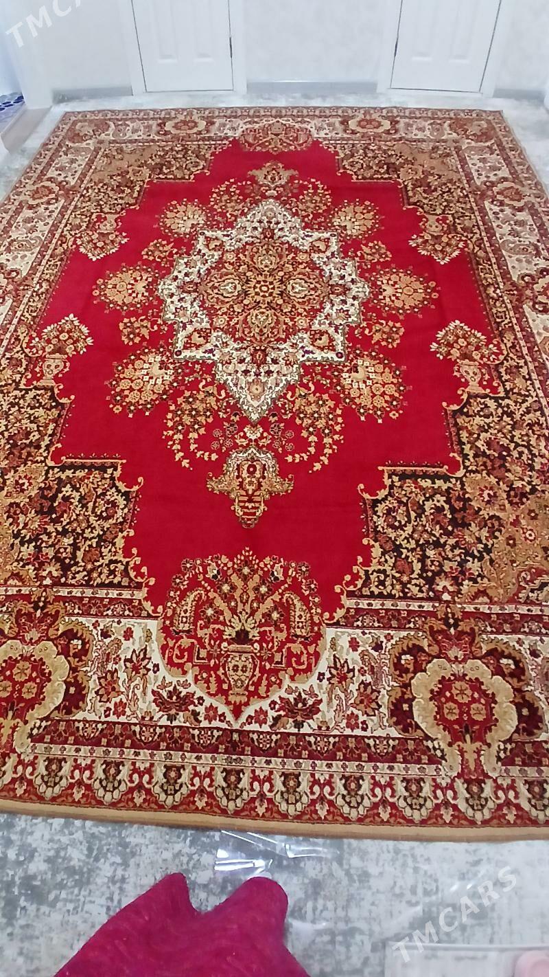 Haly - Мир 7 - img 1