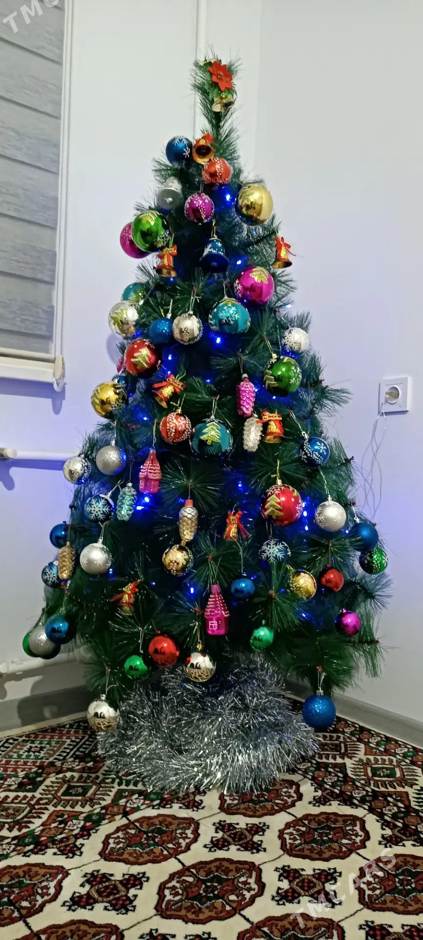 Arça yolka - Ашхабад - img 1