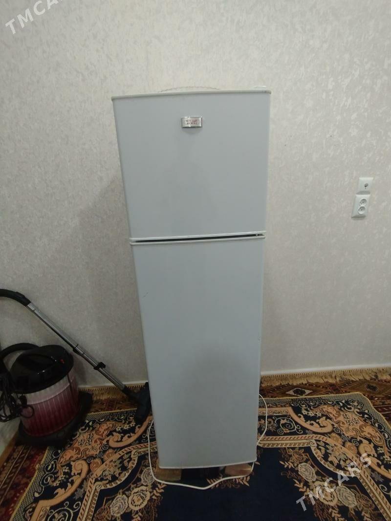 New Genial - Mary - img 1