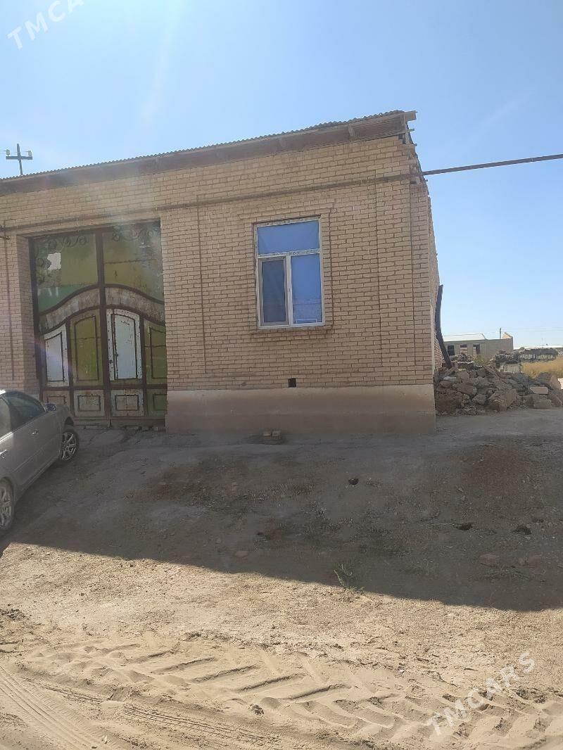 Satlyk jay - Çärjew - img 1