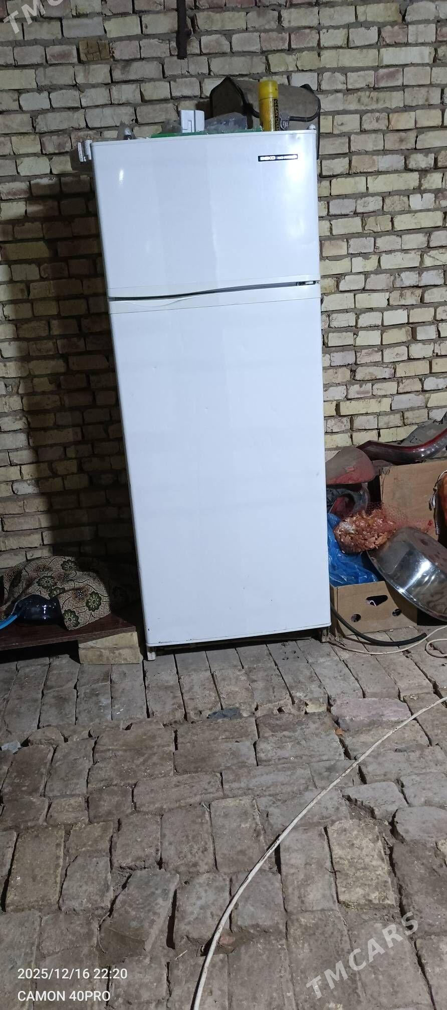 Holonilnik - Мары - img 1