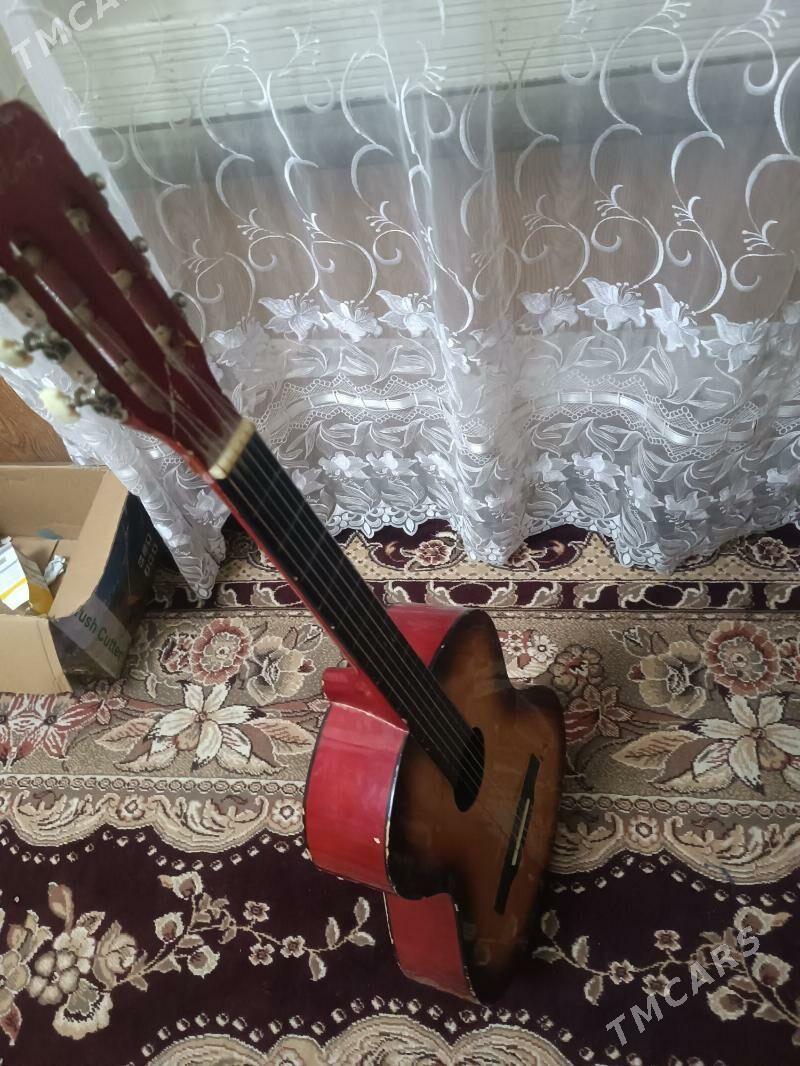 Gitara Colarec - Дянев - img 1