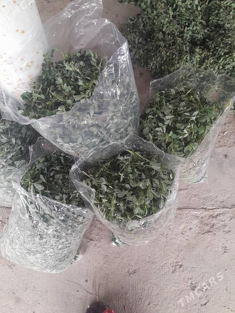 Gokje yorunja - Гарабекевюл - img 1