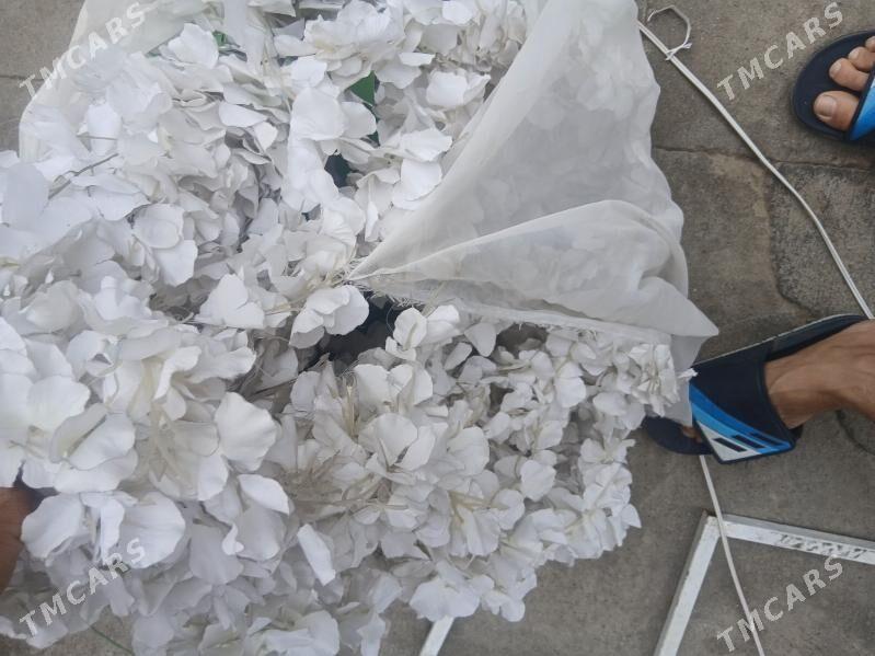 bezeg gul - Hitrowka - img 1