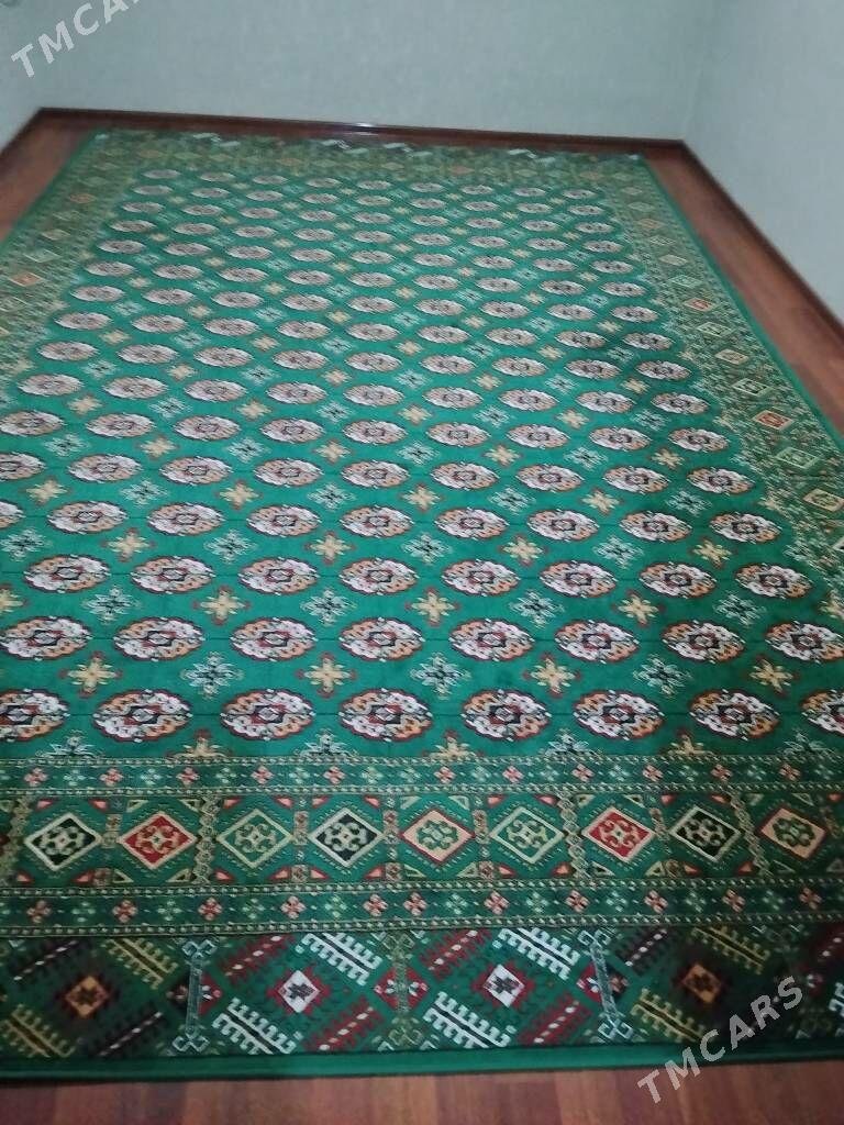 Haly - Gumdag - img 1