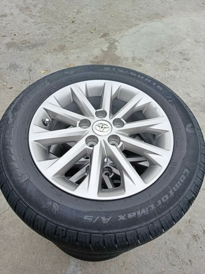 16 radnoy palta disga pakrysga 6 700 TMT - Хитровка - img 1