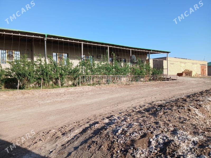 Фулл Участка дом 16 сотык - Şabat etr. - img 1