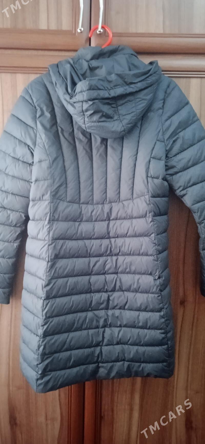 Kurtga kop geyilmedik - Balkanabat - img 1