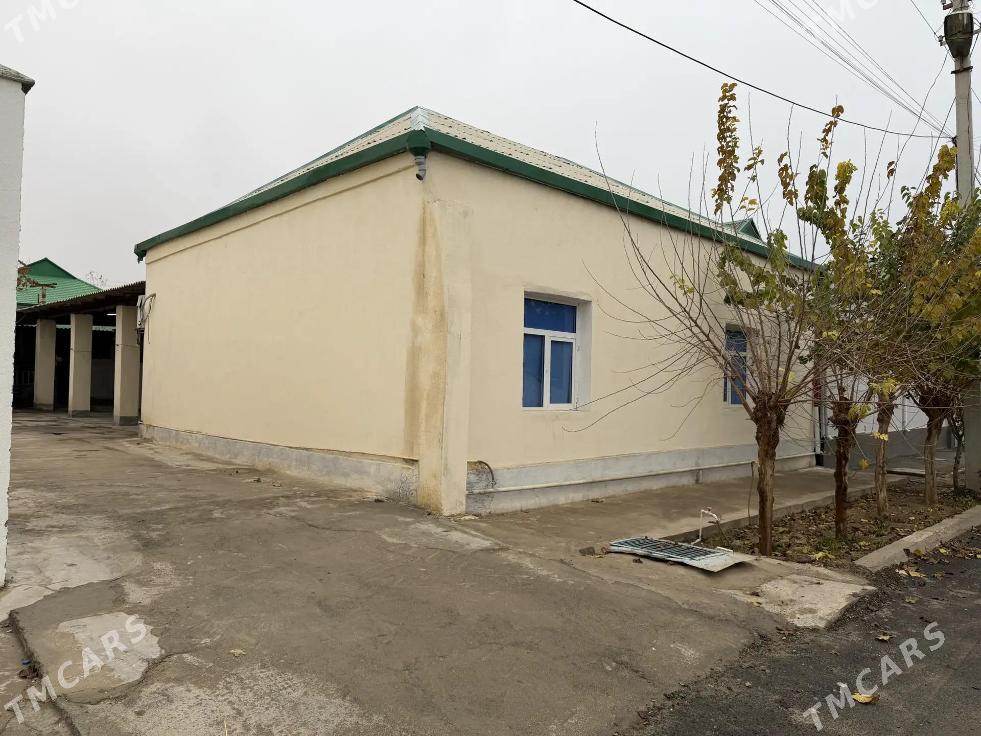 Gokje - Ашхабад - img 1