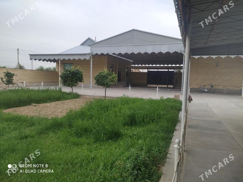 satlyk jay - Байрамали - img 1