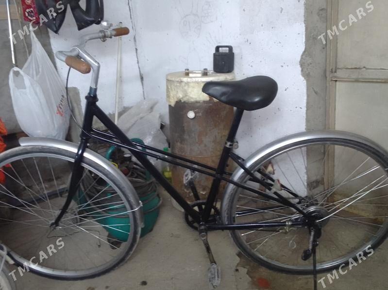 velik.27 - Mary - img 1