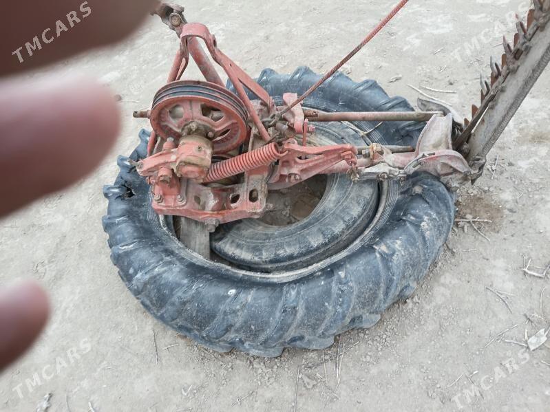 Kasylka - Сакарчага - img 1