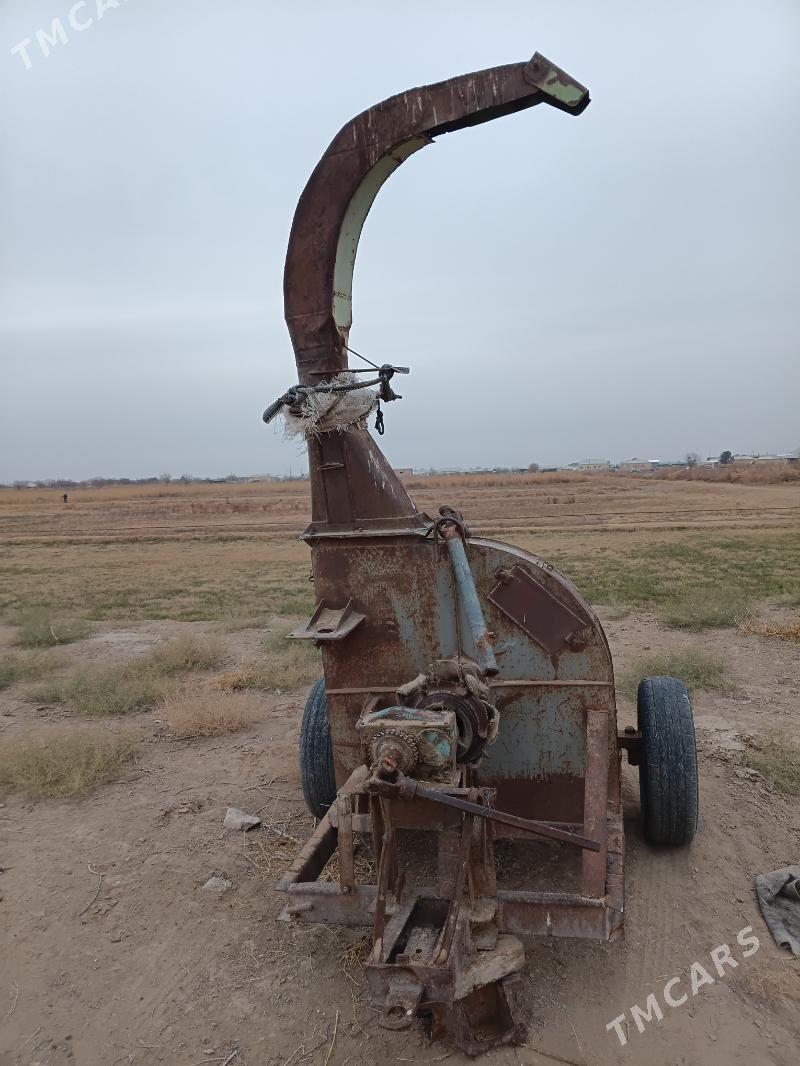 Ot uweyan - Sakarçäge - img 1