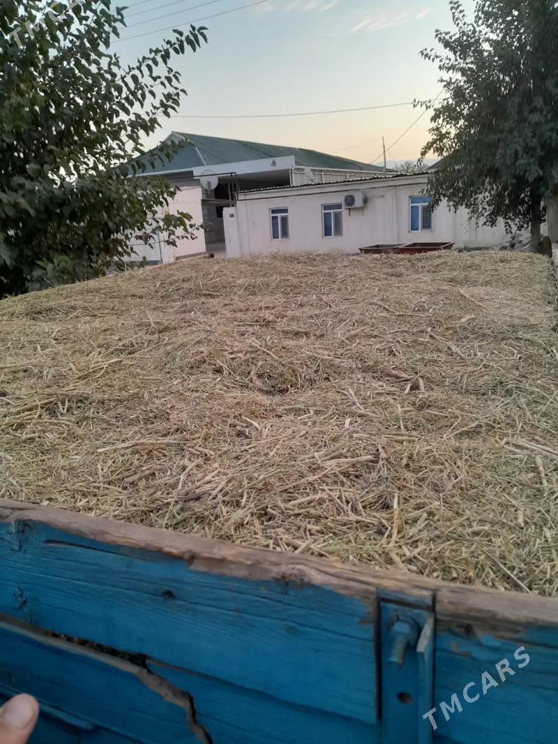 yannak - Gökdepe - img 1