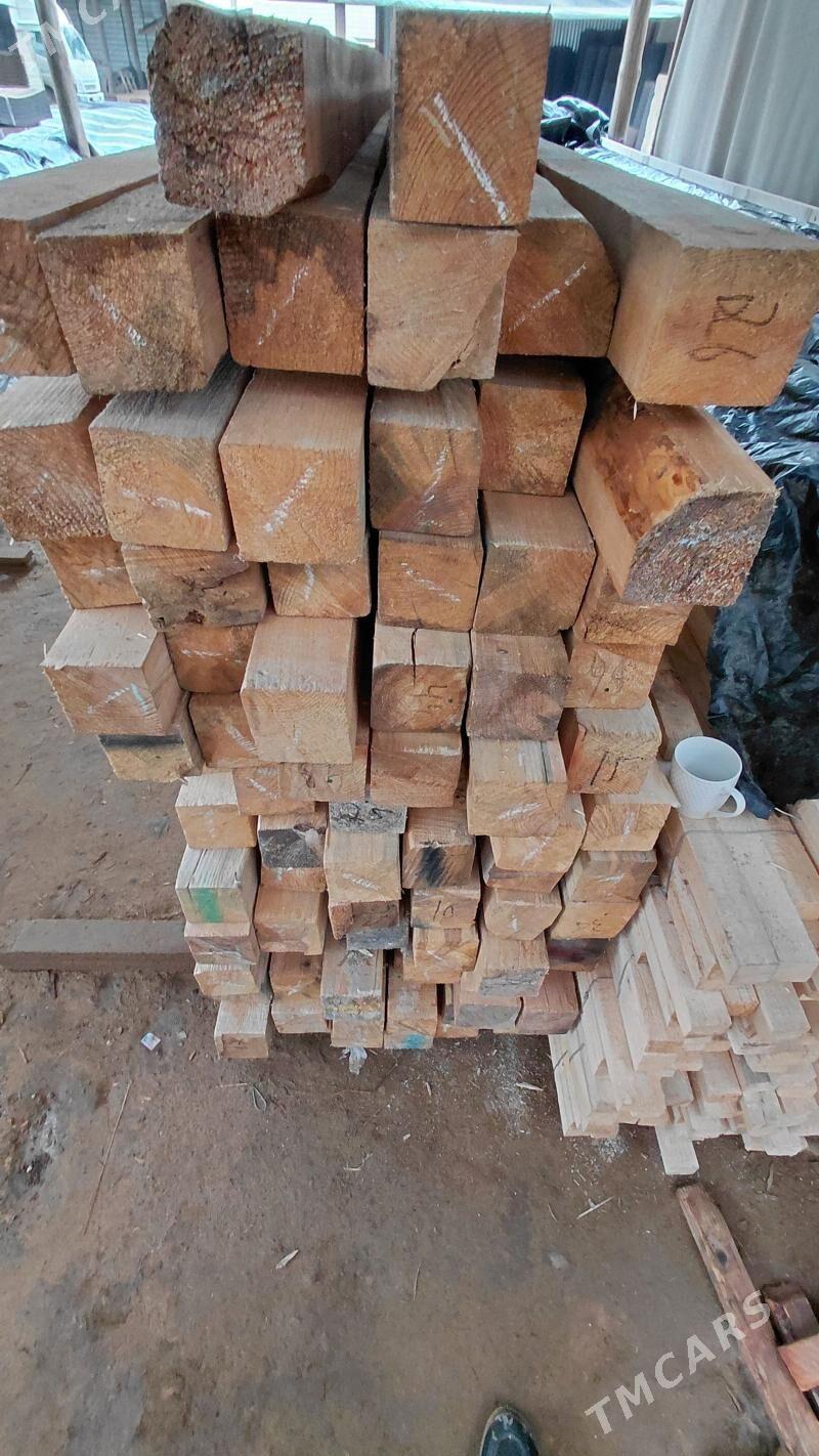 Agac 10 . 10 - Mary - img 1